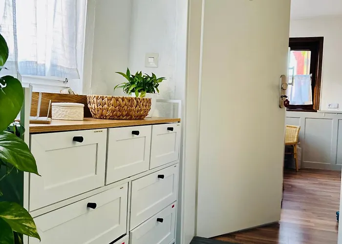 Gaestezimmer Emil&frieda 게스트하우스 3*